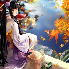 Схема вышивки «гейша»