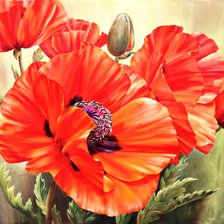 Схема вышивки «пано маки - 2»