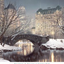 Схема вышивки «Home Alone»