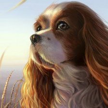 Схема вышивки «животные»