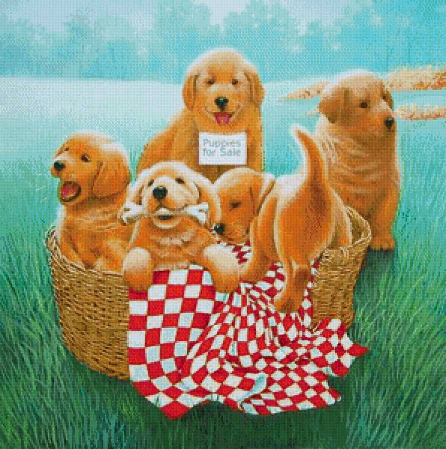 песики - собаки, собачки, собака, песик, щенки, животные, щенок - предпросмотр