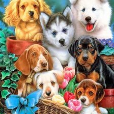 Схема вышивки «собачки»