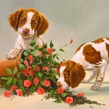 Схема вышивки «забияки»