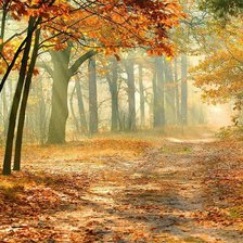 Схема вышивки «осень»