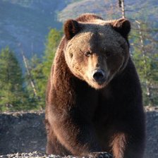 Схема вышивки «мишка»