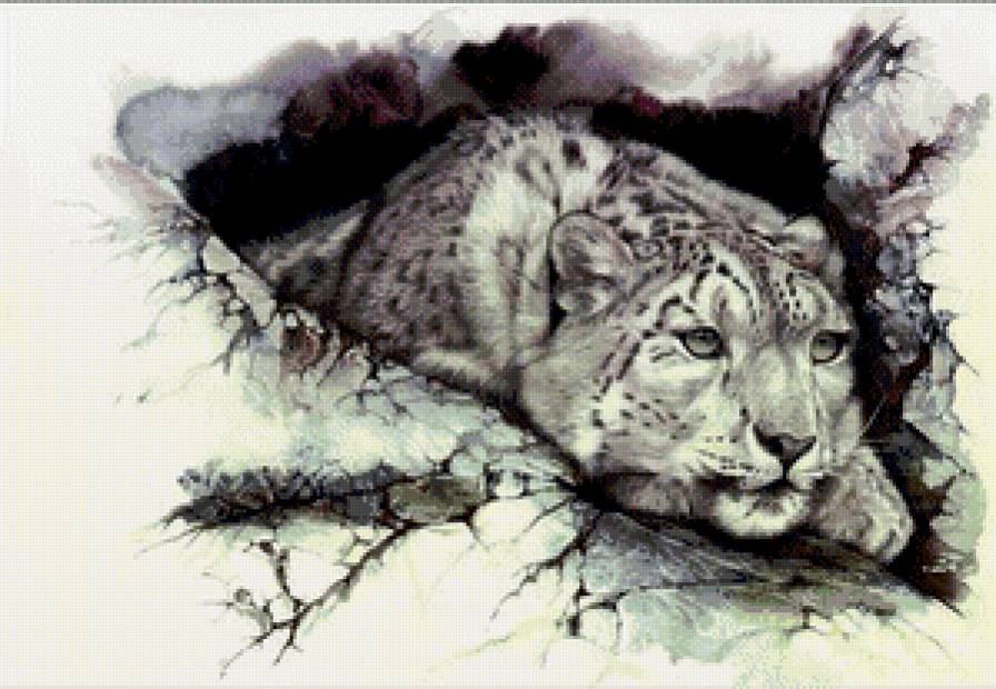 наблюдатель - дикие животные - предпросмотр