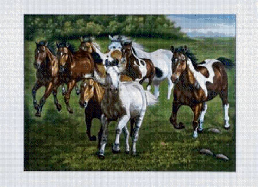 лошади - лошадь, животные - предпросмотр