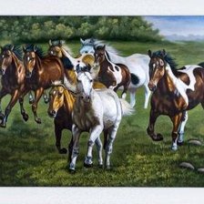 Схема вышивки «лошади»