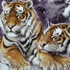 Схема вышивки «Тигринная любовь!»