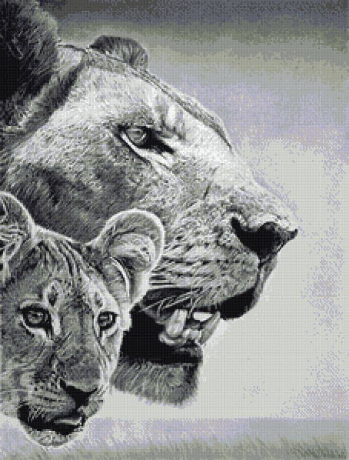 лев - животные - предпросмотр