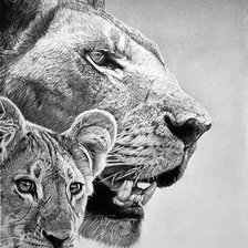 Схема вышивки «лев»