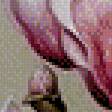 Предпросмотр схемы вышивки «Камелии» (№764776)