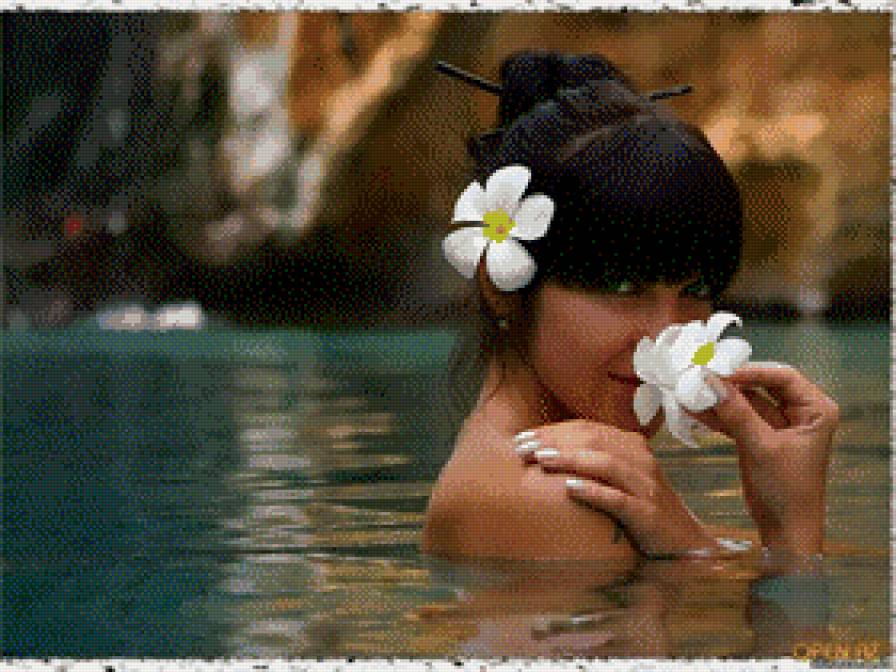 Девушка с белыми цветами - взгляд, красота, девушка, женщина - предпросмотр