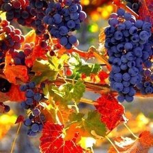 Схема вышивки «осень 2»