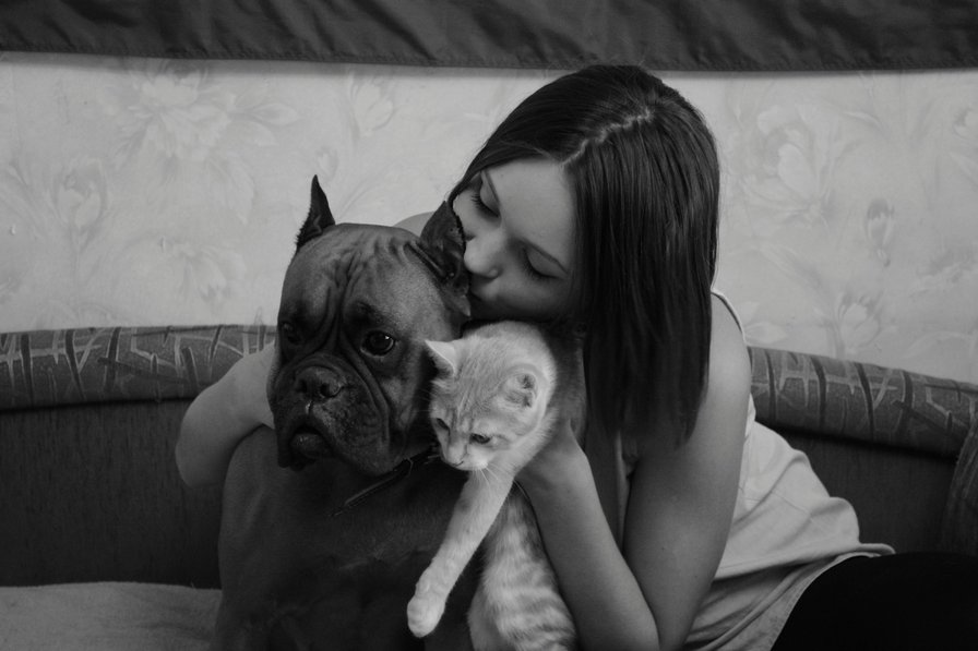 наша дружба - оригинал