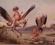 Схема вышивки «Детки»