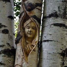 Схема вышивки «Природа»