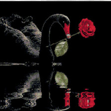 Схема вышивки «лебедь и роза»