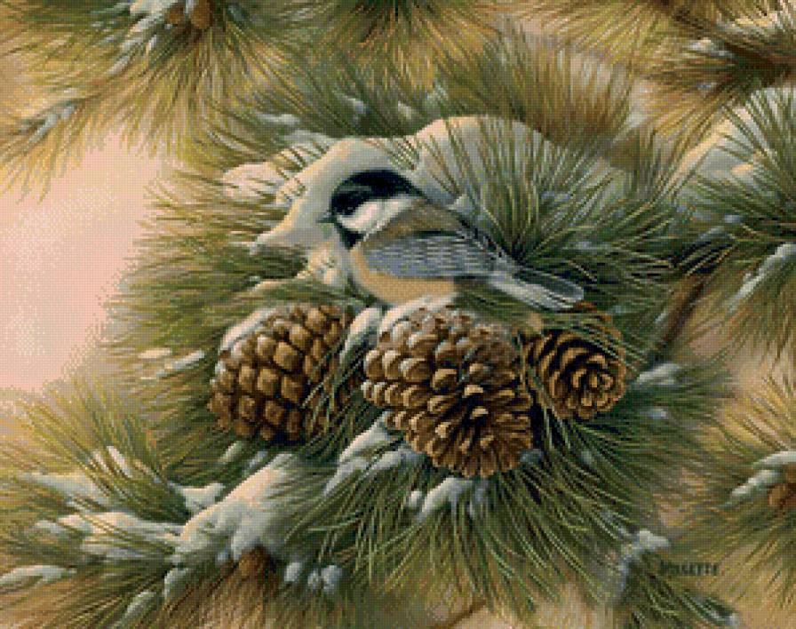 синичка на ветке - птицы, шишки, синичка - предпросмотр