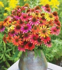 Схема вышивки «№765548»