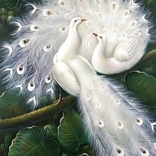 Схема вышивки «пара белых павлинов»