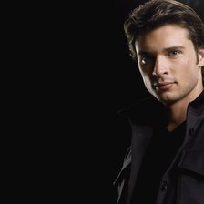 Схема вышивки «Том Уэллинг»