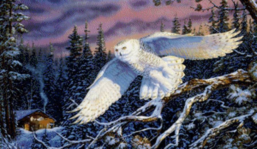 сова - зима, птица, деревня, дом, сова, лес - предпросмотр