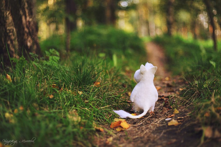 муми - оригинал