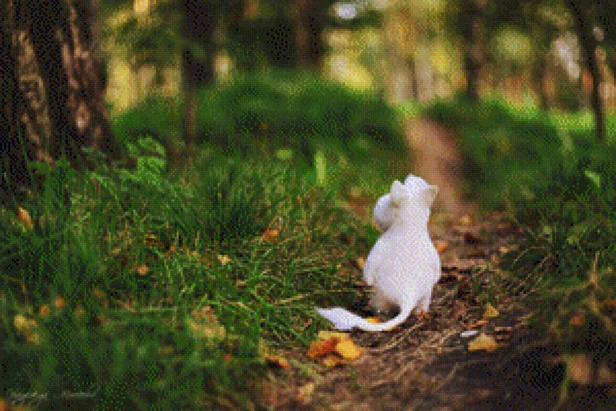 муми - предпросмотр