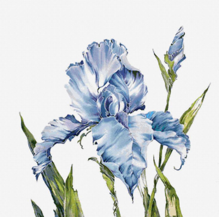 одинокий цветок - цветы - предпросмотр