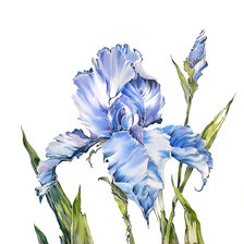 Схема вышивки «одинокий цветок»