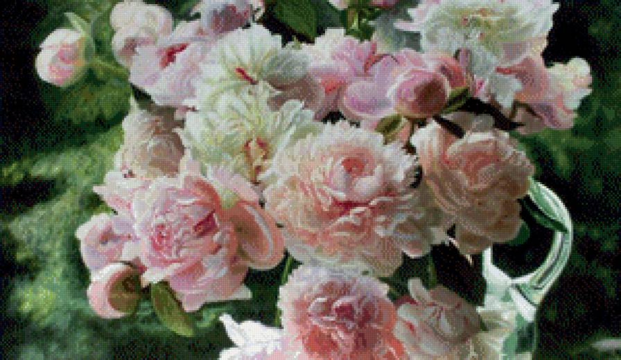 розы - цветы, розы - предпросмотр