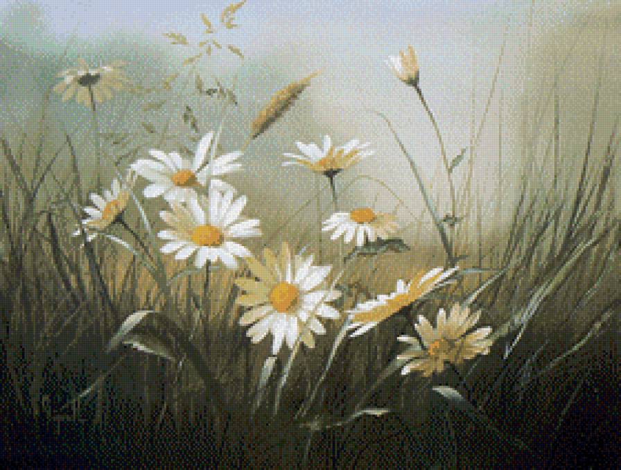 ромашки - цветы - предпросмотр