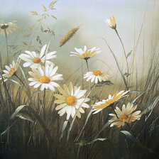 Схема вышивки «ромашки»