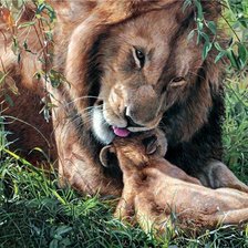 Схема вышивки «львиная доля»