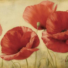 Схема вышивки «маковое панно»