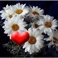 Схема вышивки «№765999»