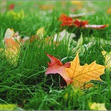 Схема вышивки «№766040»