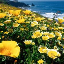 Схема вышивки «№766074»