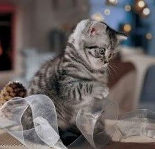 Схема вышивки «№766096»