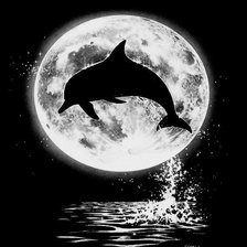 Схема вышивки «Дельфин»