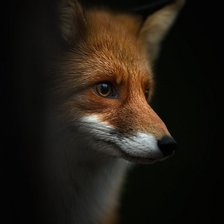 Схема вышивки «лисичка»