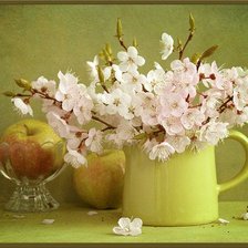 Схема вышивки «натюрморт»