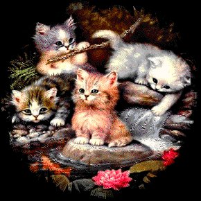 киски - оригинал