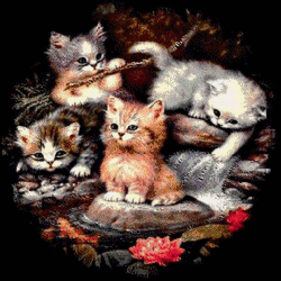 киски - предпросмотр