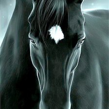 Схема вышивки «лошадь»