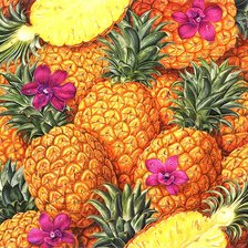 Схема вышивки «Ананасы»