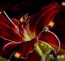 Схема вышивки «Цветы»