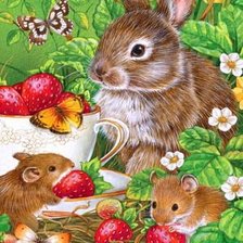 Схема вышивки «екартина»