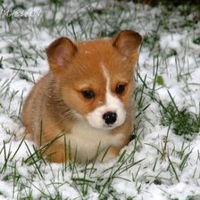 Схема вышивки «милашка»